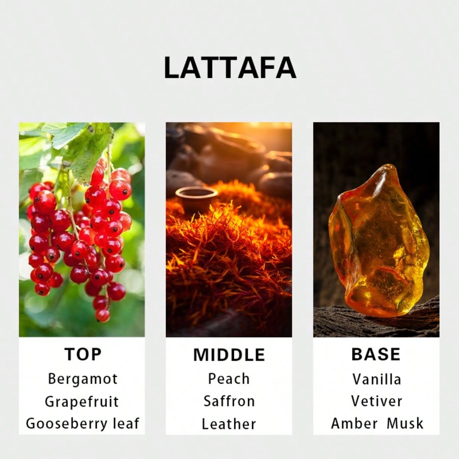 Hayaati Gold Elixir męski Eau  – Perfume And Fragrance recenzja i cena