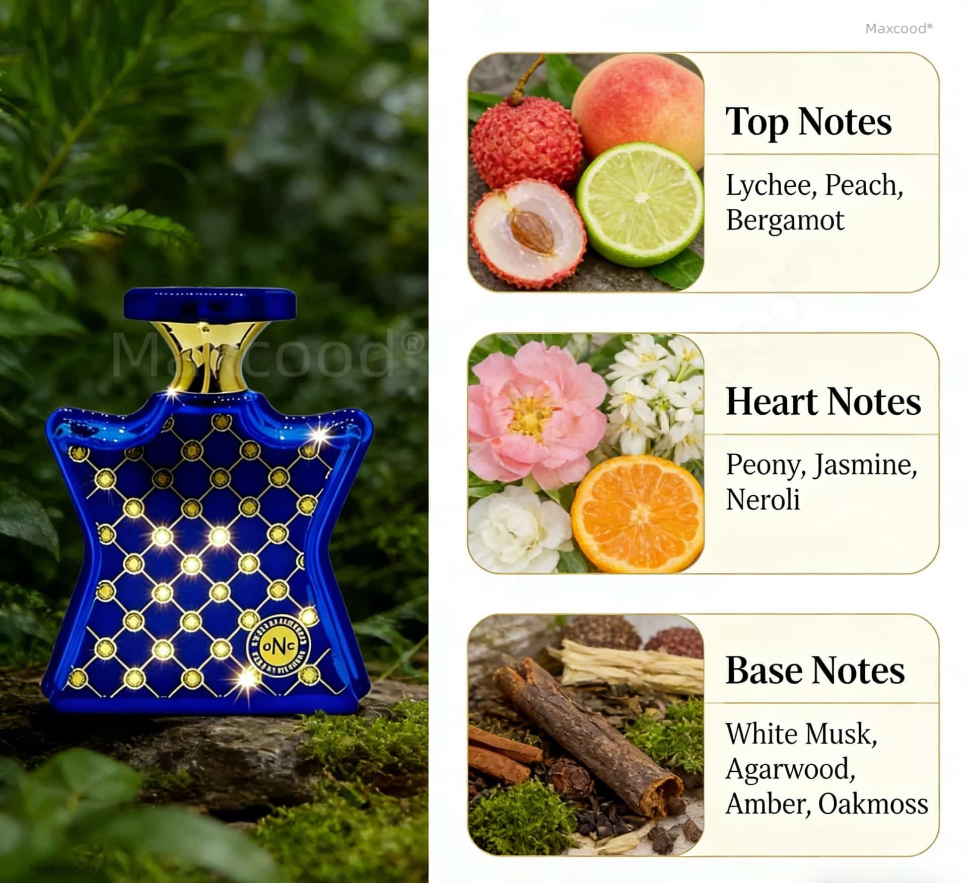 Perfumy cytrusowo-kwiatowe o d – Perfume Fragrance For Girls recenzja i cena