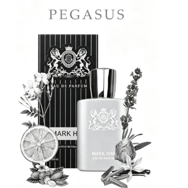 100ml MARK HIM Perfumy Męskie  – Perfume Fragrance Man recenzja i cena