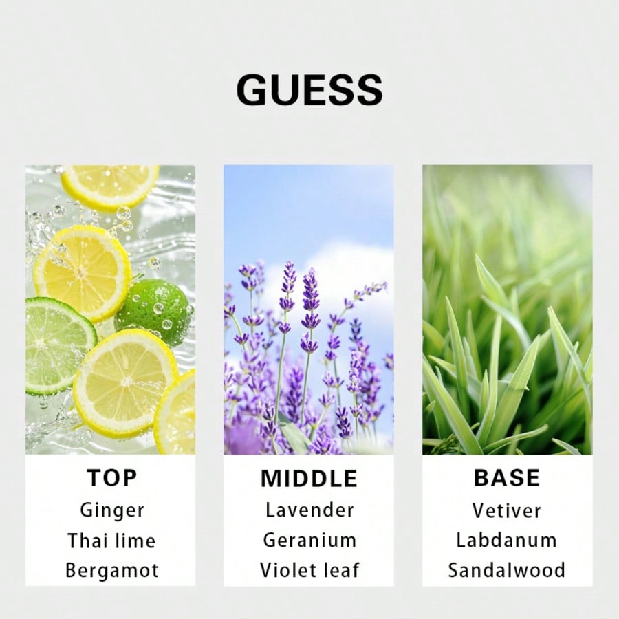 Guess Forever Men Eau De Toile – Perfume Fragrance Man recenzja i cena